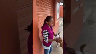 Señora se tropieza con un perro