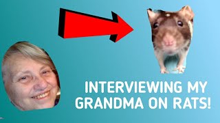 Interviewing My Grandma On Rats!