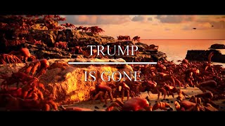 TRUMP IS GONE CRAB RAVE