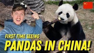 First Time Seeing PANDAS In China! | FENGHUANG 🇨🇳