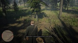 Red Dead Redemption 2_20181111184013