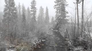 Snow day in Winter Park, Colorado!