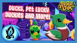 Ducks, Pet Lucky Duckies and MORE! | Animal Jam