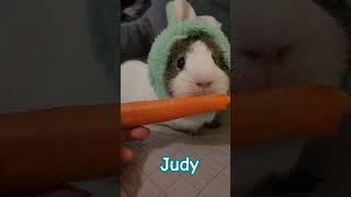 Judy my cute little "bunny"