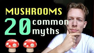 Psychedelics: Top 20 Myths Around Mushroom Trips