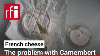 From The Lab: Is Camembert in crisis? • RFI English