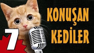 Konuşan Kediler 7 - En Komik Kedi Videoları