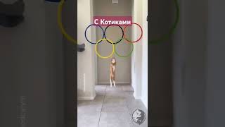 Видео Анонс #котики #ютубшортс #кошкивидео