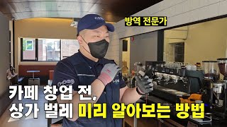 상가 벌레 나오는 곳들 알려드릴게요 (카페 및 음식점)