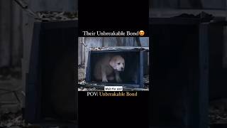 Their Unbreakable Bond 🥺😓.. #shortsfeed #shortvideo #shortsviral #1million #sadstatus #doglover