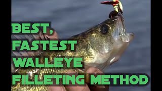 Best, fastest walleye filleting method for maximum meat