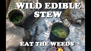 Wild Edible Stew - Eat the Weeds