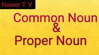 English grammer basics, Common Noun and Proper Noun