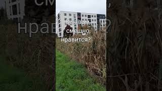 А вы слышали? Как похож голос...