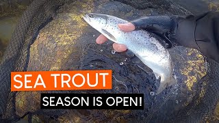 SEA TROUT fishing season PREMIERE 2022 on the west coast!