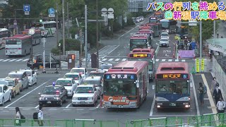 バスの行列を眺める＠新潟駅降車場