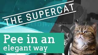 Superstar Cat - Take a leak the Elegant Way