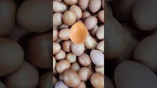 Cutepie egg kids #amazing #trending #fyp #funplay #funnyvideo #shorts