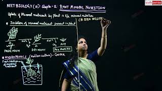 1  ISOLATION OF MINERAL NUTRIENT PRESENT IN PLANT | CLASS 12 | CHAPTER 12