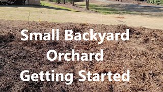 Small Backyard Orchard: Getting Started