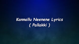 Kannallu Neenene  Song Lyrics |Pallakki | Gurukiran | Prem Kumar, Ramanithu Chaudhary| Jhankar Music