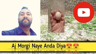 Ajj Morgi nah Anda da diya😍😍😍| #pakistanivlogs #dailyvlog