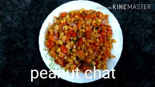 Peanut chat