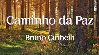 Caminho da Paz | Música Instrumental | Piano | Bruno Ciribelli