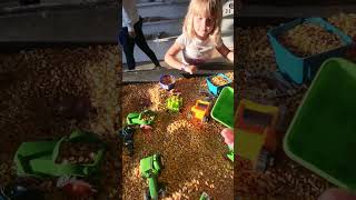 Cool corn sandbox! Kids love it! Fairgrounds #shorts #kids #kids #fun #fairgrounds