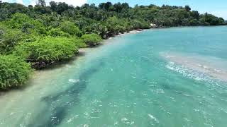 "Sweeping Views of Ocean Waves and Tropical Shores | 4K Drone Footage"