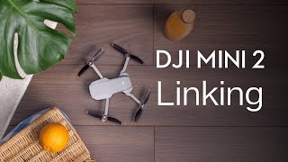 DJI Mini 2｜リンク方法(JP字幕)