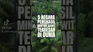 Negara Penghasil Minyak Sawit Terbesar di Dunia