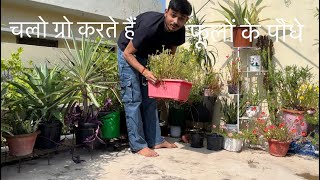 Gardening Vlog l Chalo Grow Karte Hain Sundar Sundar Phoolon Ke Paudhe