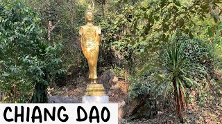 Chiang Dao Peaceful Walk เชียงดาว พีซฟูล วอล์ค