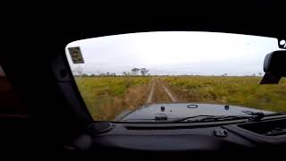 Video Short - Wild Pigs On The Run