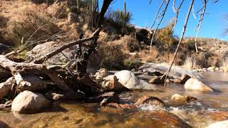 Hike through mountain water run off in Catalina State Park, Tucson Arizona, in January. Best hiking.