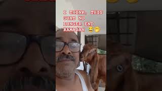 RAMADAN KAREEM #ytshorts #nature #animals #foryou #naturevibes #ramadan #shortsvideo #goat