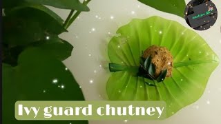 IVY GUARD CHUTNEY |  കോവക്ക ചമ്മന്തി