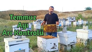 Temmuz Ayı Arı Ve Bal Kontrolü | Uygulamalı Anlatım