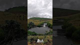 මේ ලංකාවේ  කියලා දන්නවද🥶#shortsviral #viralshort #nature #srilanka#travel #minivlog #trending#video