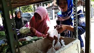 DIET BUAH DAN SAYUR