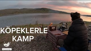 Köpeklerle Kamp 53. video #çadır #kamp #outdoors #automobile #doğa #nature #ormankampı