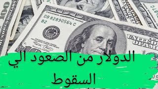 الدولار من الصعود الي السقوط