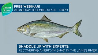 Shaddle Up With Experts Webinar: Recovering American Shad in the James River