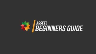 Assets Beginners Guide