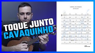 TOQUE JUNTO NO CAVAQUINHO | PROFESSOR DANIEL MARTINS @escoladecavacodanielmartins