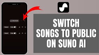 How to Switch Songs to Public in Suno AI?