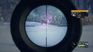 DIAMOND: REINDEER (5-Medium) - theHunter: Call of the Wild™ #thehuntercallofthewild #thehunter