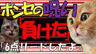 【猫ミーム】ポンセの呪いがガチすぎる。