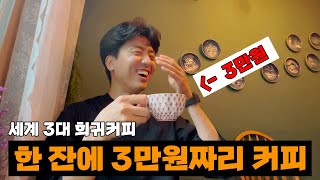 1잔에 3만원하는 세계 삼대 희귀커피는 무슨 맛? [제주여행-2] / 승마체험, 중문색달해변 해수욕 즐기기